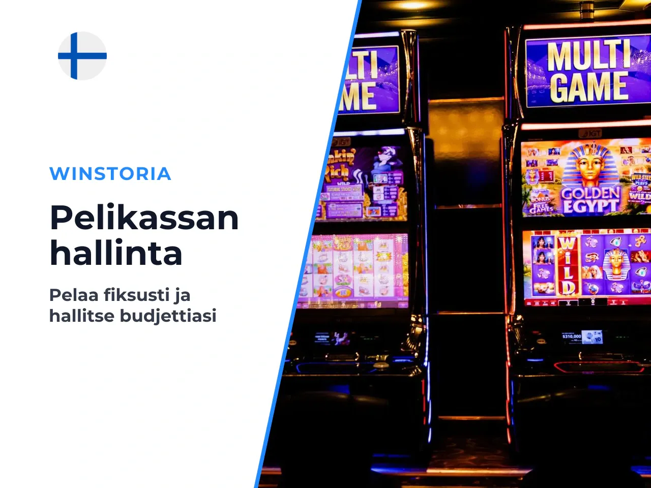 Liite A pelikassan hallinta ja sanasto