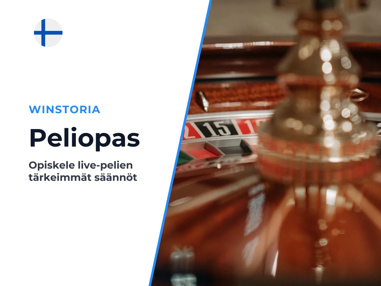 Pelikassan hallinta, sanasto ja vastuullisen pelaamisen