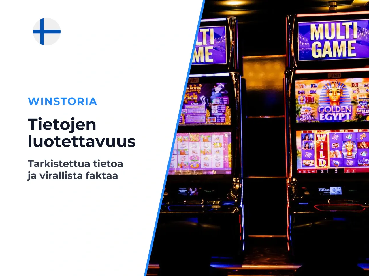 Toimituksen lähdeviite ja tietojen ajantasaisuus. Pelin