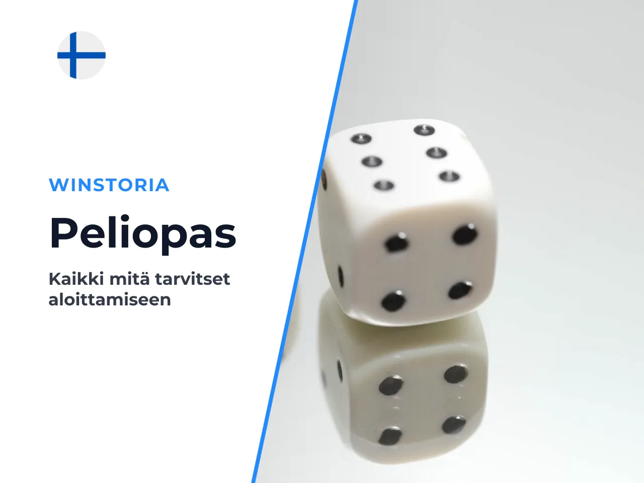 Miksi tämä opas kannattaa lukea ennen